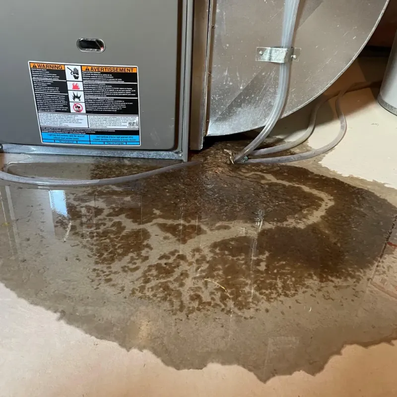 Appliance Leak Cleanup in Asbury, IA